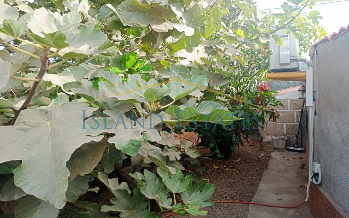 Image No.29-Finca de 3 chambres à vendre à Atogo