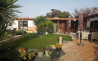 Garden2