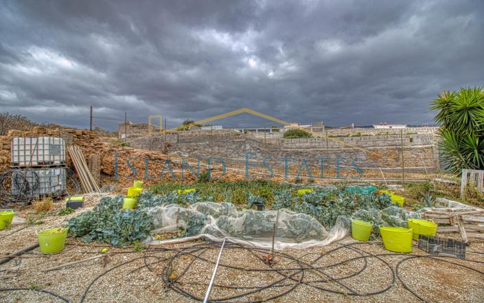 Image No.32-3 Bed Finca for sale