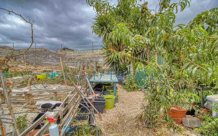 Image No.30-3 Bed Finca for sale