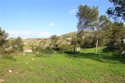 IMG_6360 (Medium).JPG