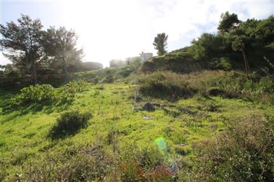 IMG_6355 (Medium).JPG