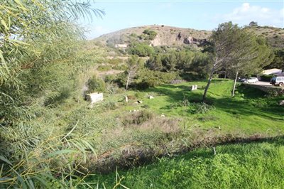 IMG_6367 (Medium).JPG