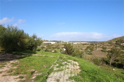 IMG_6366 (Medium).JPG