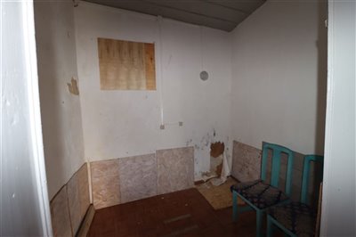 IMG_8321.JPG