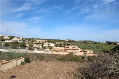IMG_3913 (Medium).JPG