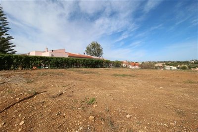 IMG_3908 (Medium).JPG