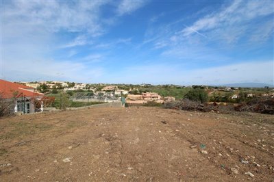 IMG_3911 (Medium).JPG