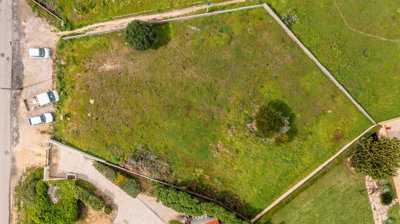 DJI_0636.jpg
