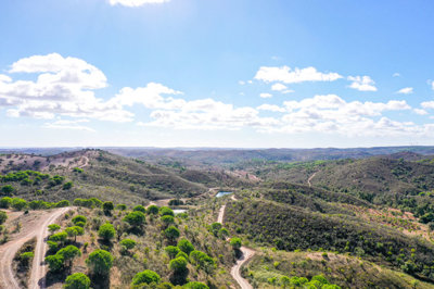 DJI_0418 copy.jpg