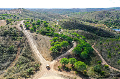 DJI_0420 copy.jpg