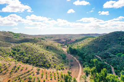 DJI_0408 copy.jpg