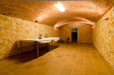 Freelance Lisa (55 of 68) (Medium).JPG