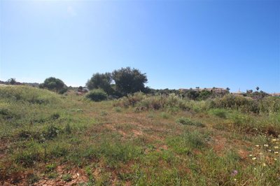 IMG_4451 (Custom).JPG