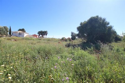 IMG_4457 (Custom).JPG