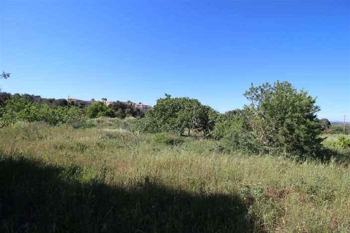 Image No.3-3 Bed Villa for sale