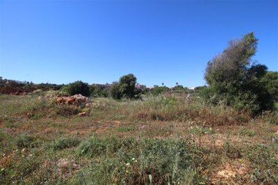 IMG_4437 (Custom).JPG