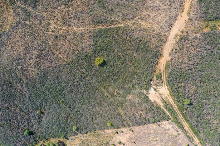 Image No.2-Plot for sale