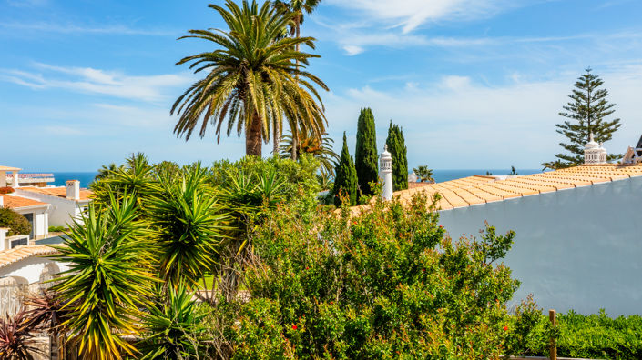 Image No.19-Terrain à vendre à Lagos