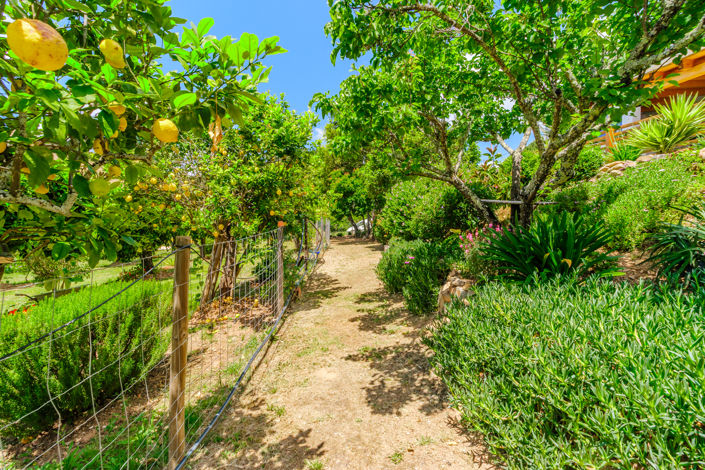 Image No.49-3 Bed Villa for sale