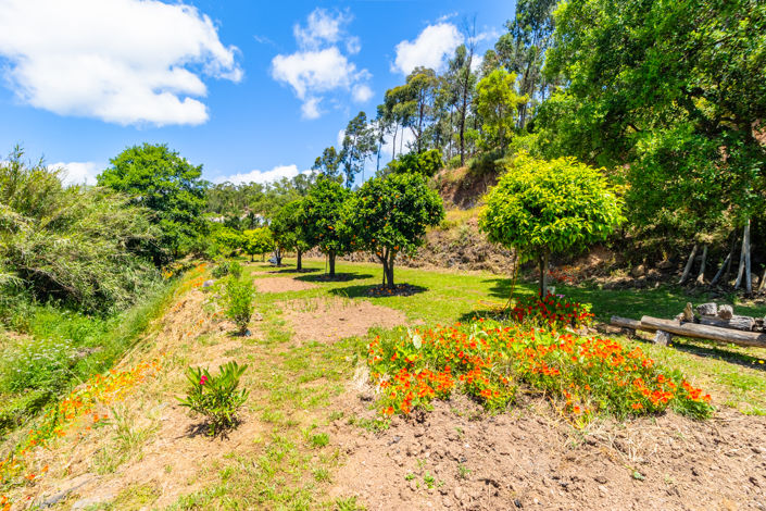 Image No.50-3 Bed Villa for sale