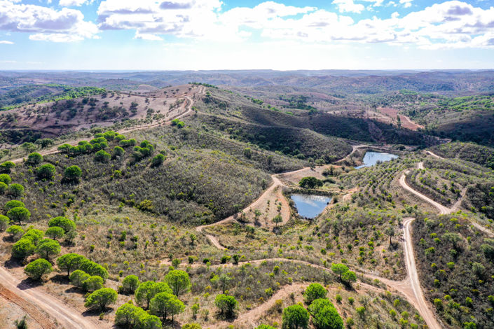 Image No.4-Plot for sale