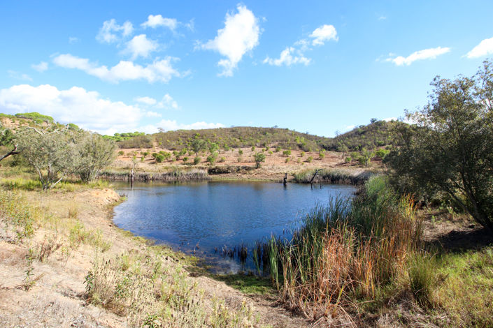 Image No.7-Plot for sale