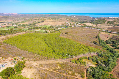DJI_0515.jpg