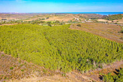 DJI_0517.jpg