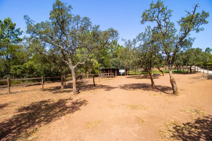 Image No.69-Villa de 8 chambres à vendre à Aljezur