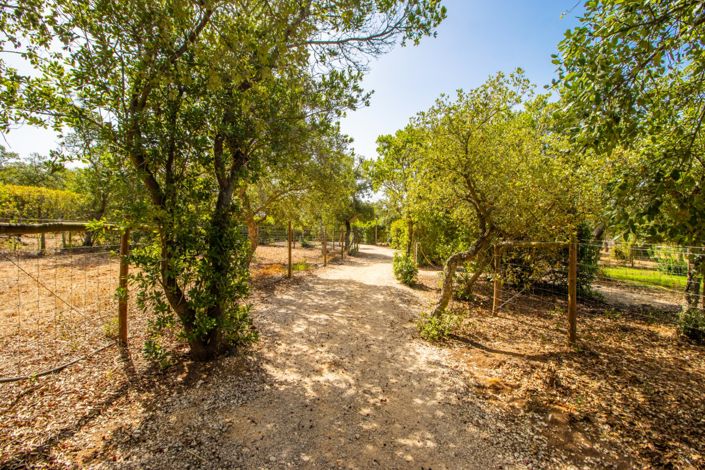 Image No.73-Villa de 8 chambres à vendre à Aljezur