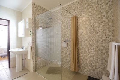 2-Bathroom shower (Large).jpg