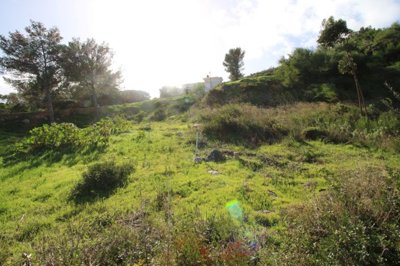 IMG_6355 (Medium).JPG