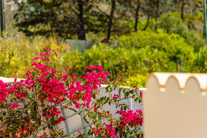 Image No.91-Villa de 5 chambres à vendre à Lagos