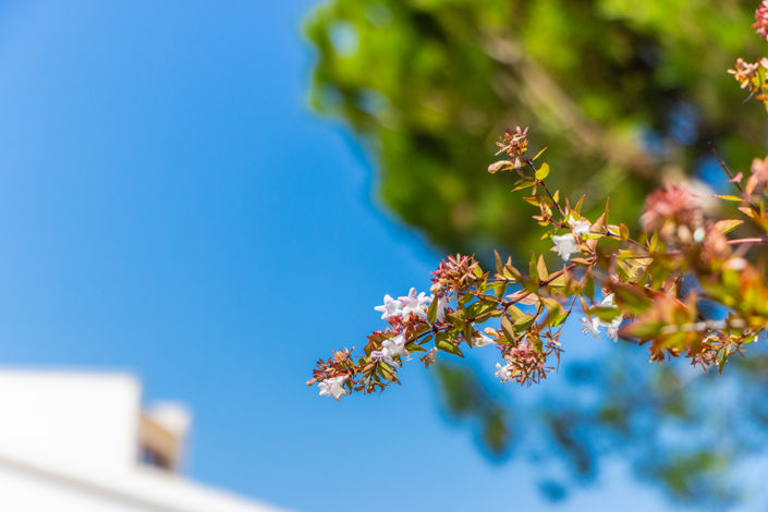 Image No.59-3 Bed Villa for sale