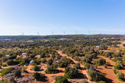 DJI_0389.jpg