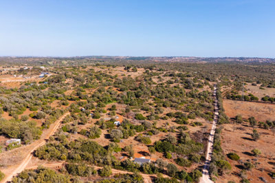 DJI_0392.jpg