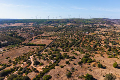 DJI_0395.jpg