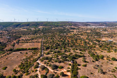 DJI_0393.jpg