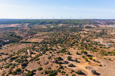 DJI_0397.jpg