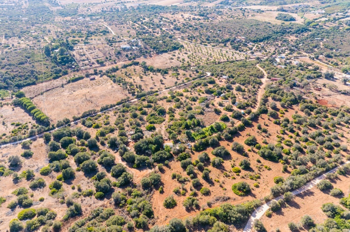 Image No.19-Plot for sale