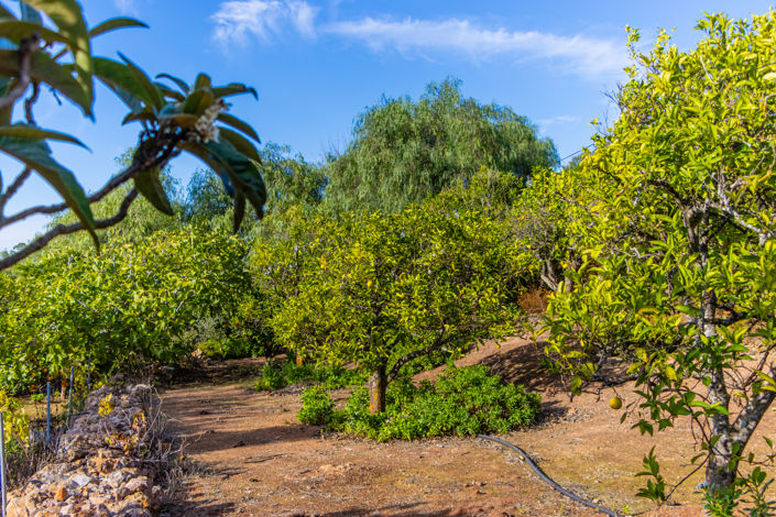 Image No.83-Villa de 4 chambres à vendre à Lagos