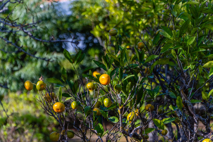 Image No.85-Villa de 4 chambres à vendre à Lagos