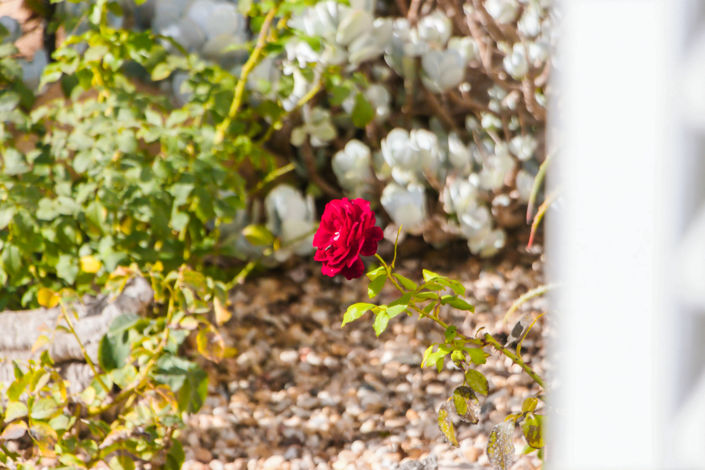 Image No.46-Maison de ville de 2 chambres à vendre à Vila do Bispo