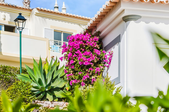 Image No.49-Maison de ville de 2 chambres à vendre à Vila do Bispo