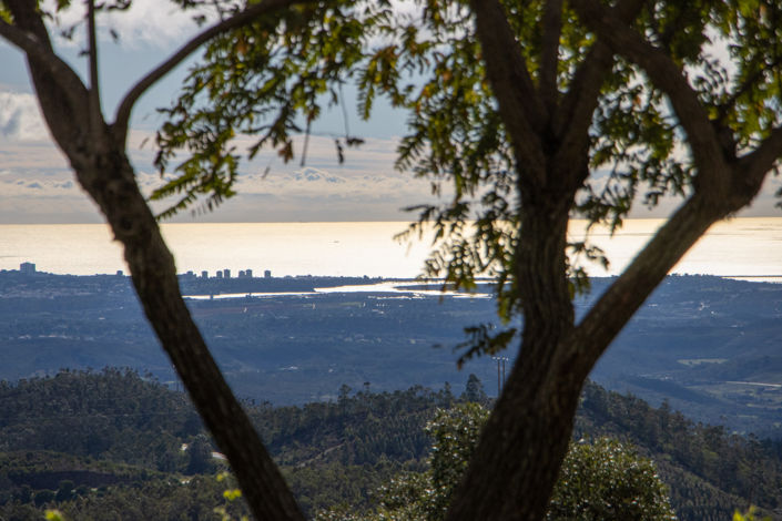 Image No.49-4 Bed Villa for sale