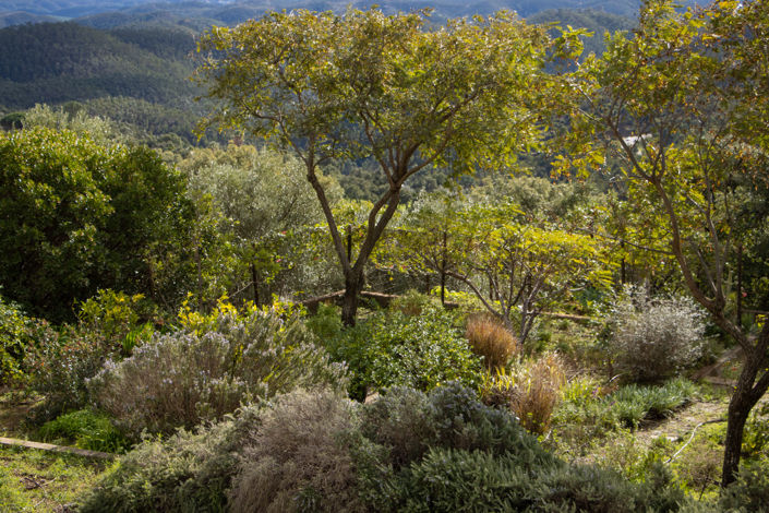 Image No.53-4 Bed Villa for sale