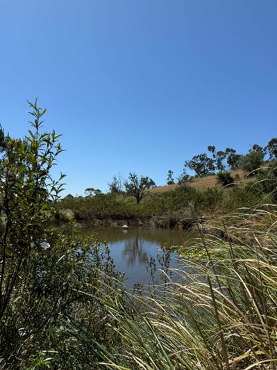 Image No.9-3 Bed Villa for sale