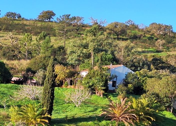 Image No.2-Plot for sale