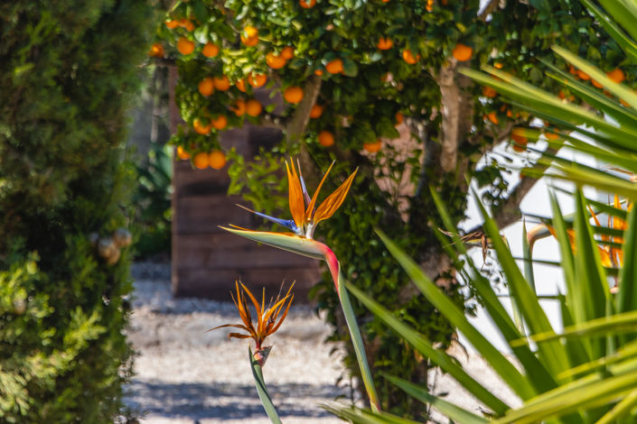 Image No.54-4 Bed Villa for sale